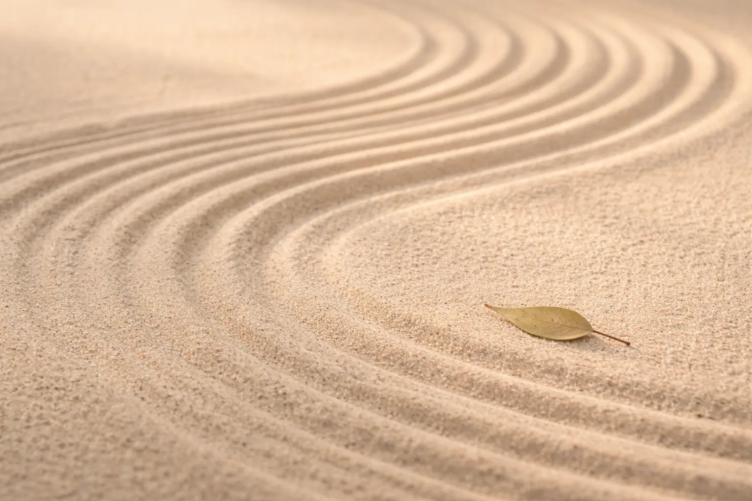 jardín zen con arena y líneas suaves con una pequeña imperfección que simboliza los errores al empezar a meditar