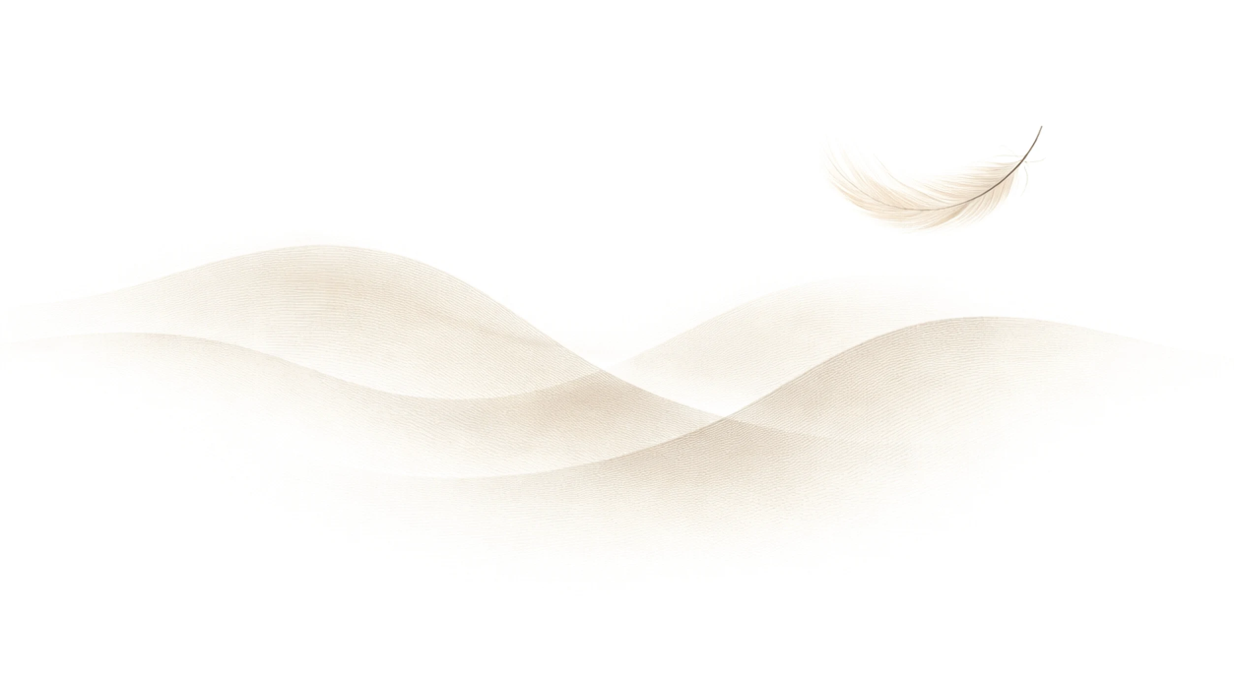 ilustración minimalista de respiración con pluma en estilo contemplativo